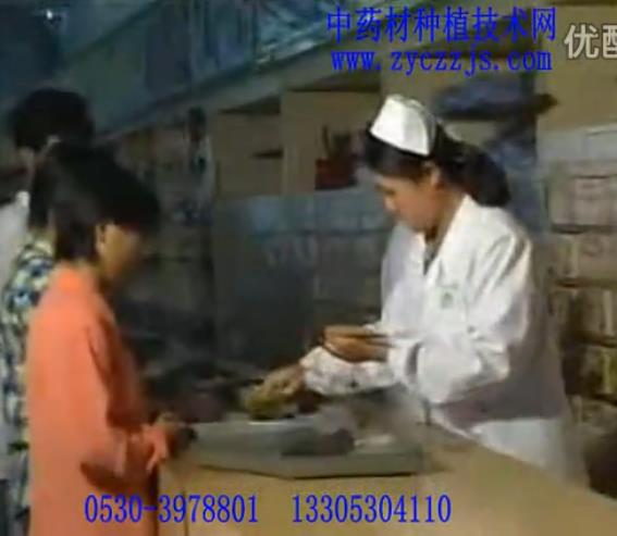 中藥材金銀花高產優質栽培技術